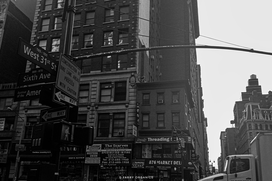 NYC © FABBYORGANICS