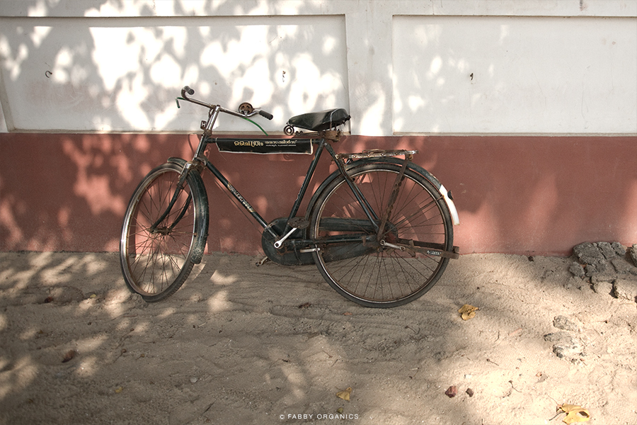 INDIGO Journey Across INDIA ©FABBYORGANICS